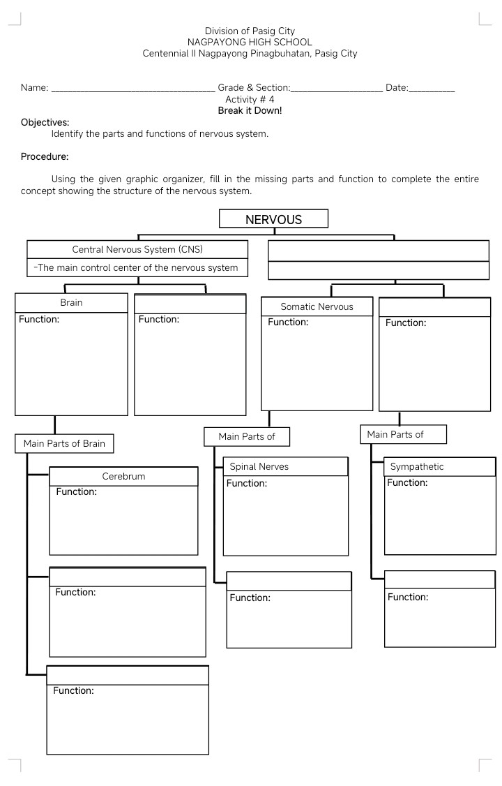 Division of Pasig City 
NAGPAYONG HIGH SCHOOL 
Centennial II Nagpayong Pinagbuhatan, Pasig City 
Name:_ Grade & Section:_ Date:_ 
Activity # 4 
Break it Down! 
Objectives: 
Identify the parts and functions of nervous system. 
Procedure: 
Using the given graphic organizer, fill in the missing parts and function to complete the entire 
co 
Fu 
M