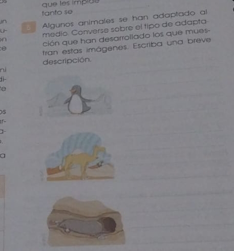 que les impião 
tanto se 
U Algunos animales se han adaptado al 
in 
n medío. Converse sobre el tipo de adapta 
ción que han desarrollado los que mues- 
tran estas imágenes. Escriba una breve 
descripción. 
ní 
ji- 
e 
S 
] 
a