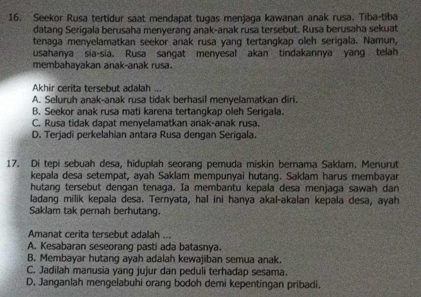 Seekor Rusa tertidur saat mendapat tugas menjaga kawanan anak rusa. Tiba-tiba
datang Serigala berusaha menyerang anak-anak rusa tersebut, Rusa berusaha sekuat
tenaga menyelamatkan seekor anak rusa yang tertangkap oleh serigala. Namun,
usahanya sia-sia. Rusa sangat menyesal akan tindakannya yang telah
membahayakan anak-anak rusa.
Akhir cerita tersebut adalah ...
A. Seluruh anak-anak rusa tidak berhasil menyelamatkan diri.
B. Seekor anak rusa mati karena tertangkap oleh Serigala.
C. Rusa tidak dapat menyelamatkan anak-anak rusa.
D. Terjadi perkelahian antara Rusa dengan Serigala.
17. Di tepi sebuah desa, hiduplah seorang pemuda miskin bernama Saklam. Menurut
kepala desa setempat, ayah Saklam mempunyai hutang. Saklam harus membayar
hutang tersebut dengan tenaga. Ia membantu kepala desa menjaga sawah dan
ladang milik kepala desa. Ternyata, hal ini hanya akal-akalan kepala desa, ayah
Saklam tak pernah berhutang.
Amanat cerita tersebut adalah ...
A. Kesabaran seseorang pasti ada batasnya.
B. Membayar hutang ayah adalah kewajiban semua anak.
C. Jadilah manusia yang jujur dan peduli terhadap sesama.
D. Janganlah mengelabuhi orang bodoh demi kepentingan pribadi.