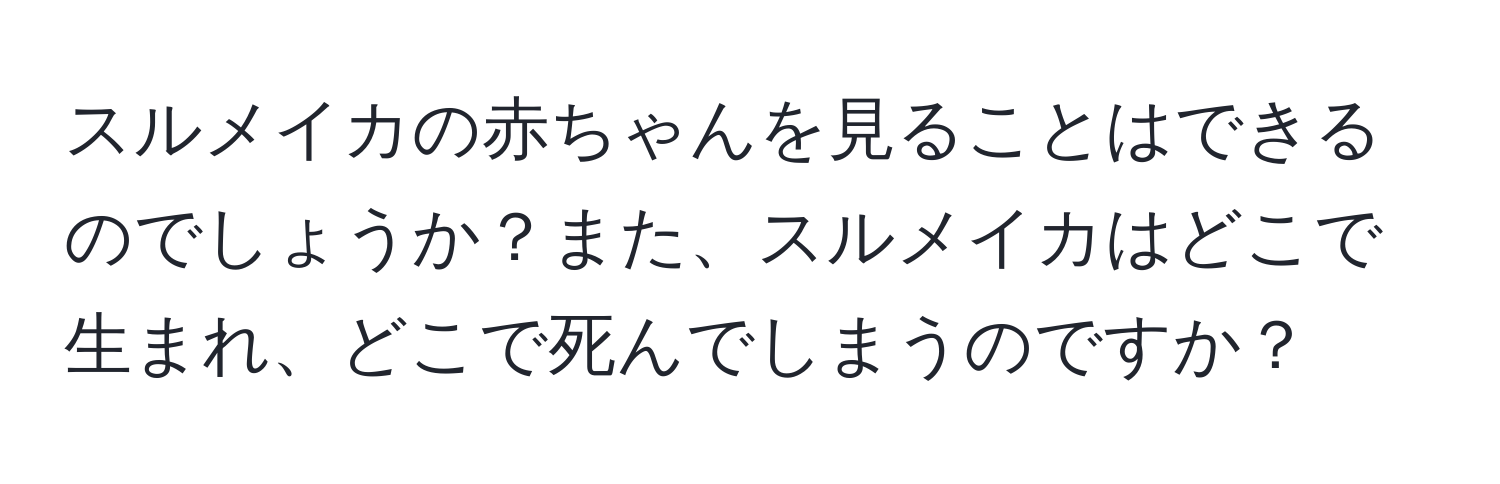 スルメイカの赤ちゃんを見ることはできるのでしょうか？また、スルメイカはどこで生まれ、どこで死んでしまうのですか？