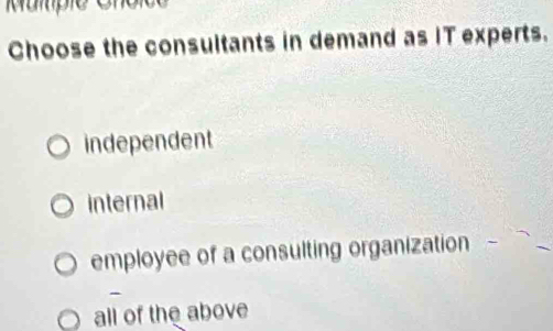 Choose the consultants in demand as IT experts.
independent
internal
employee of a consulting organization
-
all of the above