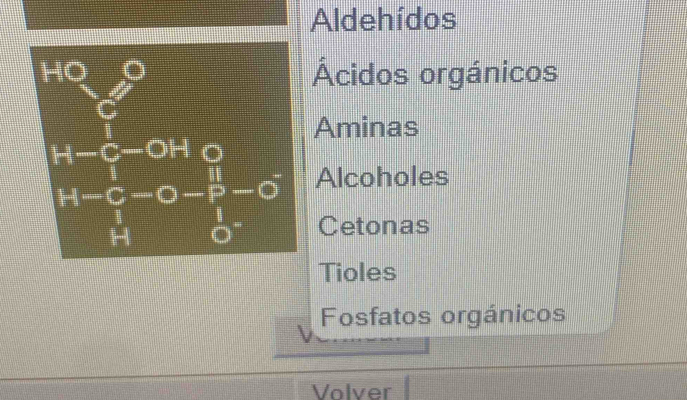 Aldehídos
Ácidos orgánicos
Aminas
Alcoholes
Cetonas
Tioles
Fosfatos orgánicos
Volver