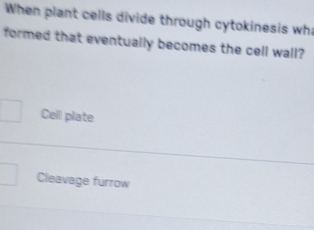 When plant cells divide through cytokinesis wh
formed that eventually becomes the cell wall?
Cell plate
Cleavage furrow