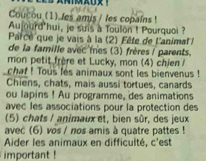 Coucou (1) les amis / les copains ! 
Aujourd'hui, je suis à Toulon ! Pourquoi ? 
Parce que je vais à la (2) Fête de l'animal 
de la famille avec mes (3) frères / parents, 
mon petit frère et Lucky, mon (4) chien 
chat ! Tous les animaux sont les bienvenus ! 
Chiens, chats, mais aussi tortues, canards 
ou lapins ! Au programme, des animations 
avec les associations pour la protection des 
(5) chats I animaux et, bien sûr, des jeux 
avec (6) vos / nos amis à quatre pattes ! 
Ader les animaux en difficulté, c'est 
important !