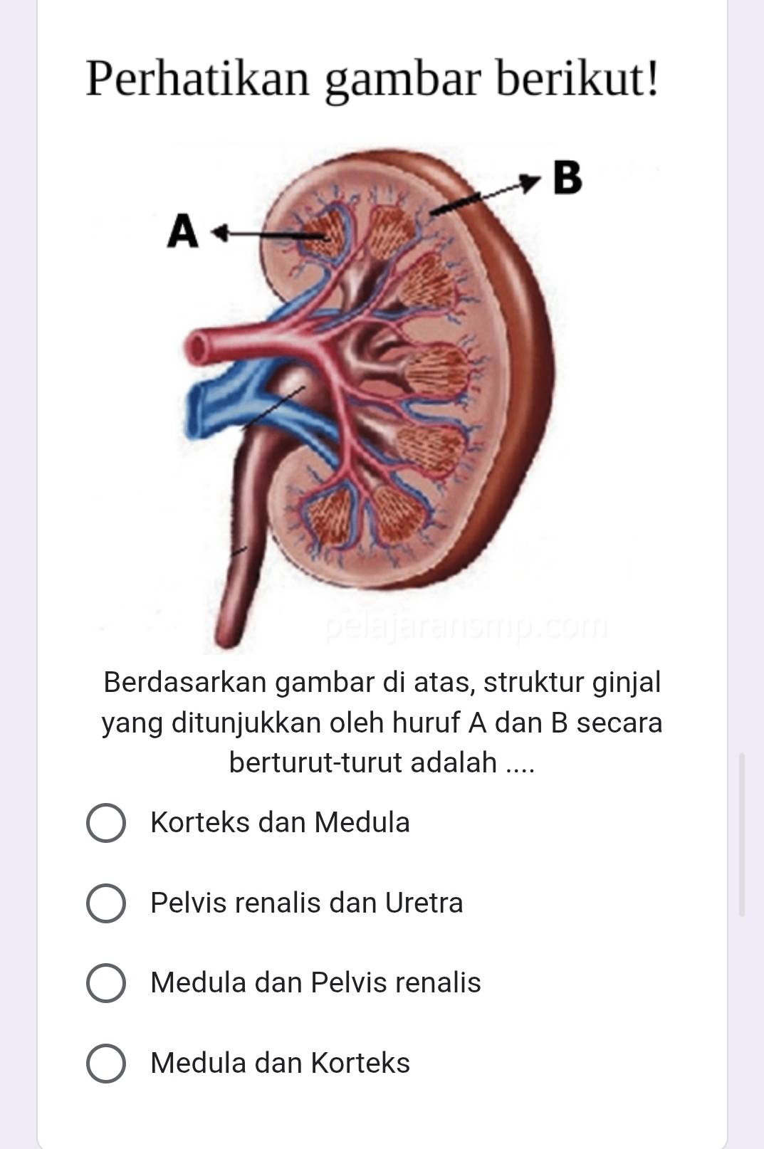 Telah dijawab:Perhatikan gambar berikut! Berdasarkan gambar di atas ...