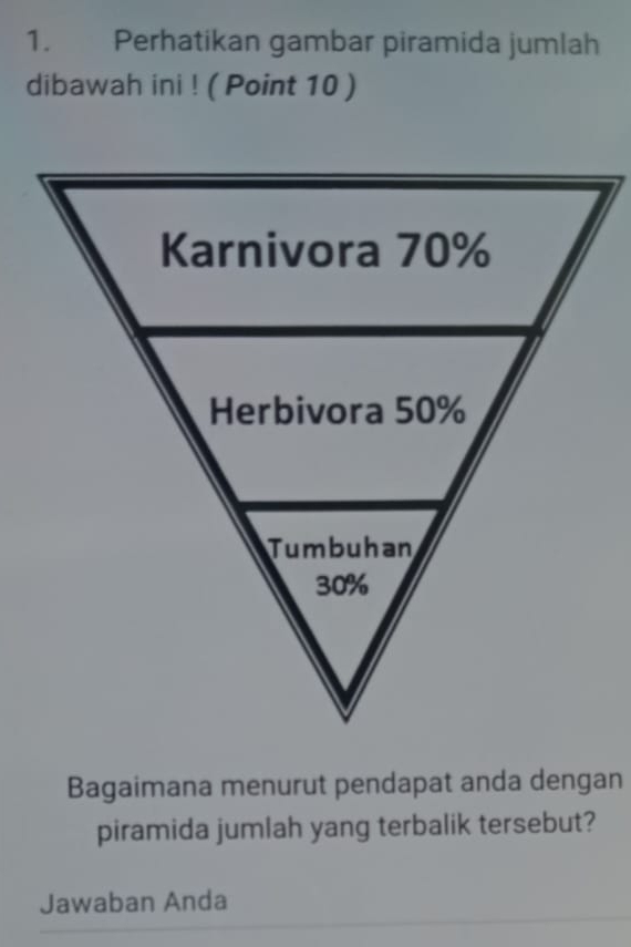 Perhatikan gambar piramida jumlah 
dibawah ini ! ( Point 10 ) 
Bagaimana menurut pendapat anda dengan 
piramida jumlah yang terbalik tersebut? 
Jawaban Anda