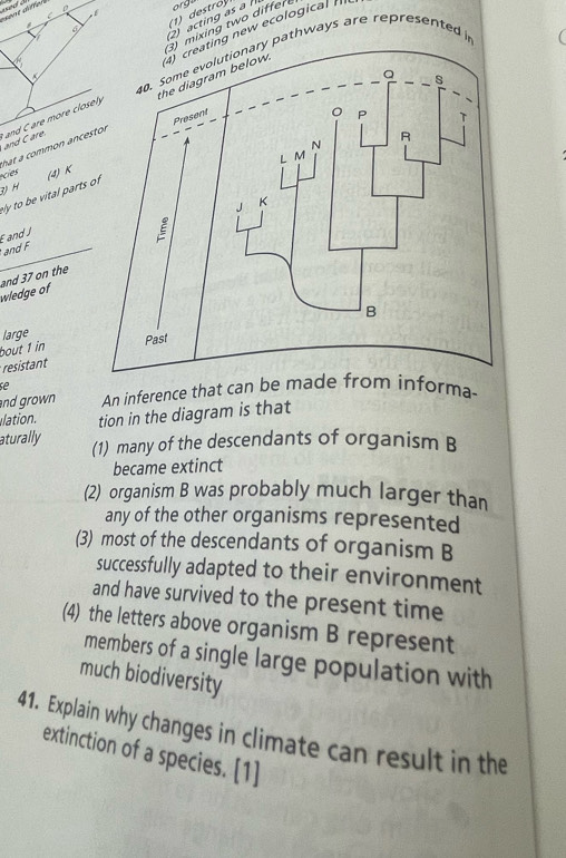 (1) destro
ixing tw o differ (2) acting as a org
new ecological 
athways are represented i
a 
and C are ad re more clos
hat a common ances
ves (4) K
3) H
ely to be vital parts 
and F E and J
wledge of and 37 on the
large 
bout 1 in
resistant
se
and grown An inference that can be minforma
lation. tion in the diagram is that
aturally
(1) many of the descendants of organism B
became extinct
(2) organism B was probably much larger than
any of the other organisms represented
(3) most of the descendants of organism B
successfully adapted to their environment
and have survived to the present time
(4) the letters above organism B represent
members of a single large population with
much biodiversity
41. Explain why changes in climate can result in the
extinction of a species. [1]