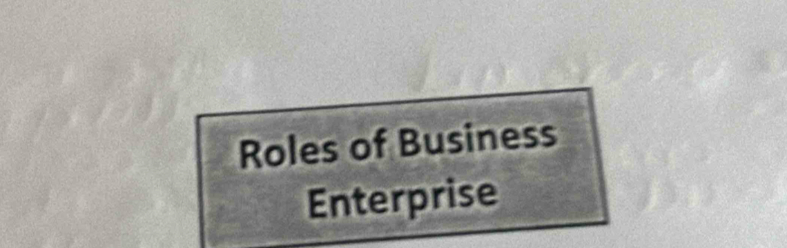 Roles of Business 
Enterprise