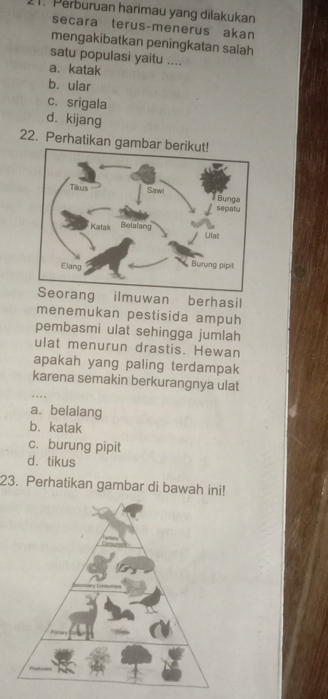 Perburuan harimau yang dilakukan
secara terus-menerus akan
mengakibatkan peningkatan salah
satu populasi yaitu ....
a. katak
bì ular
c. srigala
d. kijang
22. Perhatikan gambar berikut!
ng ilmuwan berhasil
menemukan pestisida ampuh
pembasmi ulat sehingga jumlah
ulat menurun drastis. Hewan
apakah yang paling terdampak
karena semakin berkurangnya ulat
a.belalang
b. katak
c. burung pipit
d. tikus
23. Perhatikan gambar di bawah ini!