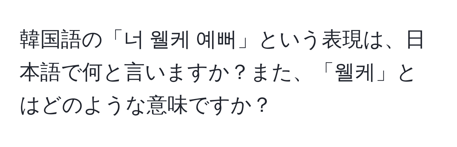 韓国語の「너 웰케 예뻐」という表現は、日本語で何と言いますか？また、「웰케」とはどのような意味ですか？