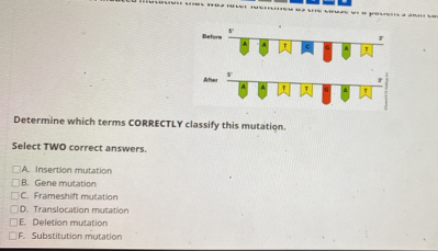 Solved: Determine which terms CORRECTLY classify this mutation. Select ...