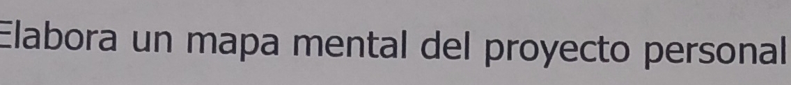 Elabora un mapa mental del proyecto personal