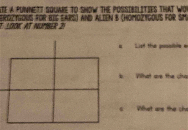 TE A PUNNETT SQUARE TO SHOW THE POSSIBILITIES THAT WON 
ErOzYGoUS für BIG EArS) and Alien B (HomozyGoUs für SM 
T: LOOK AT NUMBER 21
List the possible e 
What are the cha 
What ars the cho