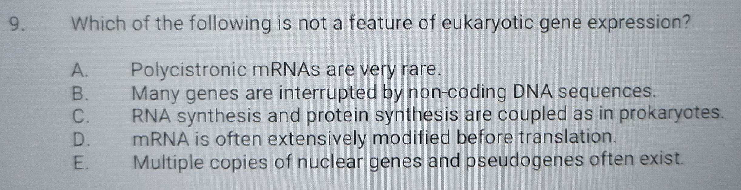 Which of the following is not a feature of eukaryotic gene expression?
A. Polycistronic mRNAs are very rare.
B. Many genes are interrupted by non-coding DNA sequences.
C. RNA synthesis and protein synthesis are coupled as in prokaryotes.
D. mRNA is often extensively modified before translation.
E. Multiple copies of nuclear genes and pseudogenes often exist.