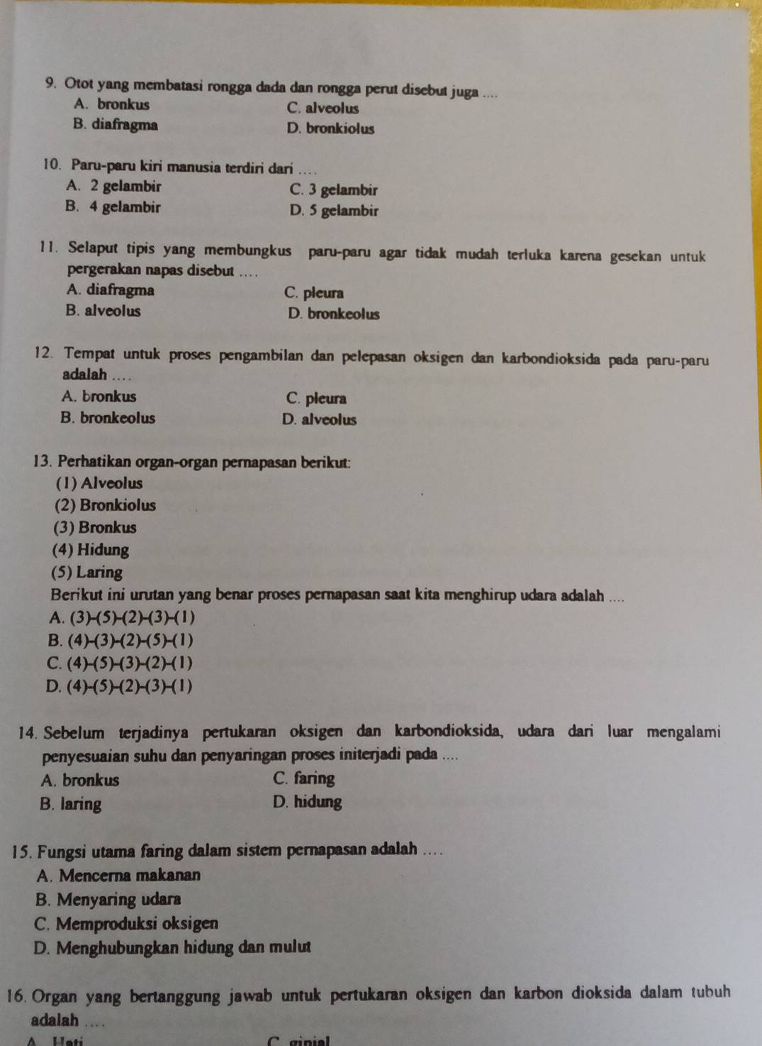 Otot yang membatasi rongga dada dan rongga perut disebut juga ....
A. bronkus C. alveolus
B. diafragma D. bronkiolus
10. Paru-paru kiri manusia terdiri dari
A. 2 gelambir C. 3 gelambir
B. 4 gelambir D. 5 gelambir
11. Selaput tipis yang membungkus paru-paru agar tidak mudah terluka karena gesekan untuk
pergerakan napas disebut .. .
A. diafragma C. pleura
B. alveolus D. bronkeolus
12. Tempat untuk proses pengambilan dan pelepasan oksigen dan karbondioksida pada paru-paru
adalah …...
A. bronkus C. pleura
B. bronkeolus D. alveolus
13. Perhatikan organ-organ pernapasan berikut:
(1) Alveolus
(2) Bronkiolus
(3) Bronkus
(4) Hidung
(5) Laring
Berikut ini urutan yang benar proses pernapasan saat kita menghirup udara adalah ....
A. (3)-(5)-(2)-(3)-(1)
B. (4)-(3)-(2)-(5)-(1)
C. (4)-(5)-(3)-(2)-(1)
D. (4)-(5)-(2)-(3)-(1)
14. Sebelum terjadinya pertukaran oksigen dan karbondioksida, udara dari luar mengalami
penyesuaian suhu dan penyaringan proses initerjadi pada ....
A. bronkus C. faring
B. laring D. hidung
15. Fungsi utama faring dalam sistem pernapasan adalah ....
A. Mencerna makanan
B. Menyaring udara
C. Memproduksi oksigen
D. Menghubungkan hidung dan mulut
16. Organ yang bertanggung jawab untuk pertukaran oksigen dan karbon dioksida dalam tubuh
adalah ...
A Hati C ginial