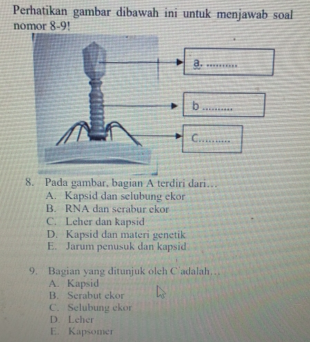 Perhatikan gambar dibawah ini untuk menjawab soal
nomor 8-9!
a._
_b
C._
8. Pada gambar, bagian A terdiri dari…
A. Kapsid dan selubung ekor
B. RNA dan serabur ekor
C. Leher dan kapsid
D. Kapsid dan materi genetik
E. Jarum penusuk dan kapsid
9. Bagian yang ditunjuk oleh C'adalah.
A. Kapsid
B. Serabut ekor
C. Selubung ckor
D. Leher
E. Kapsomer