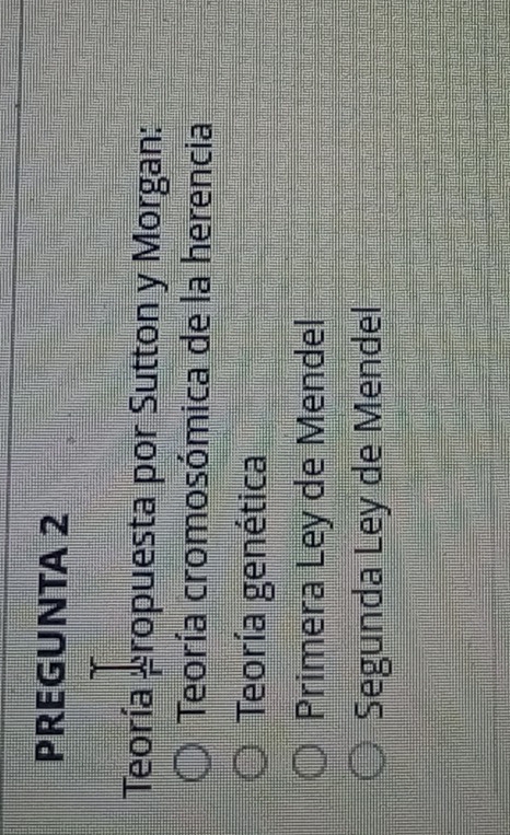 PREGUNTA 2
Teoría propuesta por Sutton y Morgan:
Teoría cromosómica de la herencia
Teoría genética
Primera Ley de Mendel
Segunda Ley de Mendel