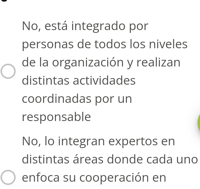 No, está integrado por
personas de todos los niveles
de la organización y realizan
distintas actividades
coordinadas por un
responsable
No, lo integran expertos en
distintas áreas donde cada uno
enfoca su cooperación en