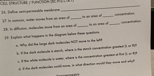 CELL STRUCTURE / FUNCTION (SC.912.L.14.1) 
_. 
26. Define semi-permeable membrane 
27. In osmosis, water moves from an area of _to an area of_ concentration. 
28. In diffusion, molecules move from an area of _to an area of_ concentration. 
29. Explain what happens in the diagram below these questions. 
a. Why did the large dark molecules NOT move to the left? 
b. If the dark molecule is starch, where is the starch concentration greatest (L or R)? 
c. If the white molecule is water, where is the concentration greatest at first (L or R)? 
d. If the dark molecules could move, in what direction would they move and why? 
Seminermeable