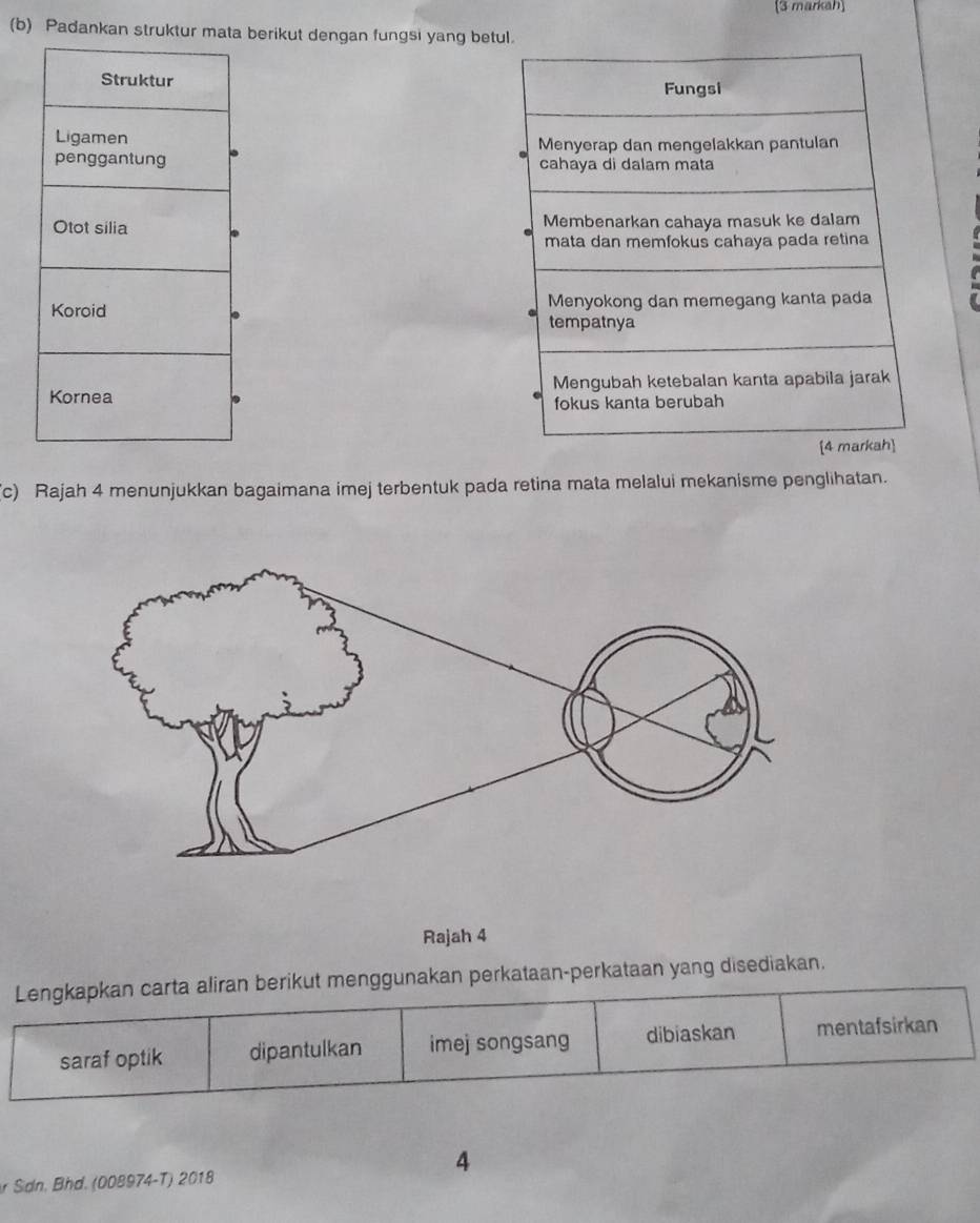 (3 markah
(b) Padankan struktur mata berikut dengan fungsi yang betul.
Fungsi
Menyerap dan mengelakkan pantulan
cahaya di dalam mata
Membenarkan cahaya masuk ke dalam
mata dan memfokus cahaya pada retina
Menyokong dan memegang kanta pada
tempatnya
Mengubah ketebalan kanta apabila jarak
fokus kanta berubah
[4 markah]
c) Rajah 4 menunjukkan bagaimana imej terbentuk pada retina mata melalui mekanisme penglihatan.
Rajah 4
Lengkapkan carta aliran berikut menggunakan perkataan-perkataan yang disediakan.
saraf optik dipantulkan imej songsang dibiaskan mentafsirkan
4
r Sidn. Bhd. (008974-T) 2018