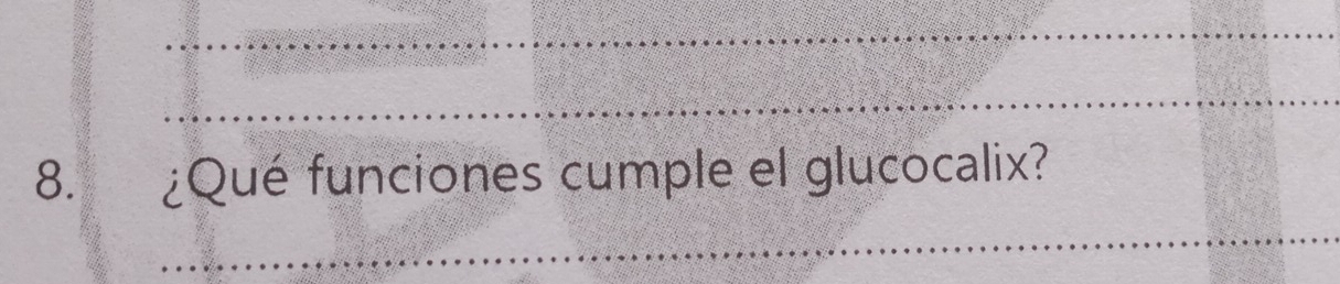 ¿Qué funciones cumple el glucocalix?