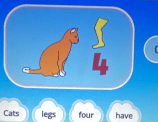 ( 
Cats legs four have