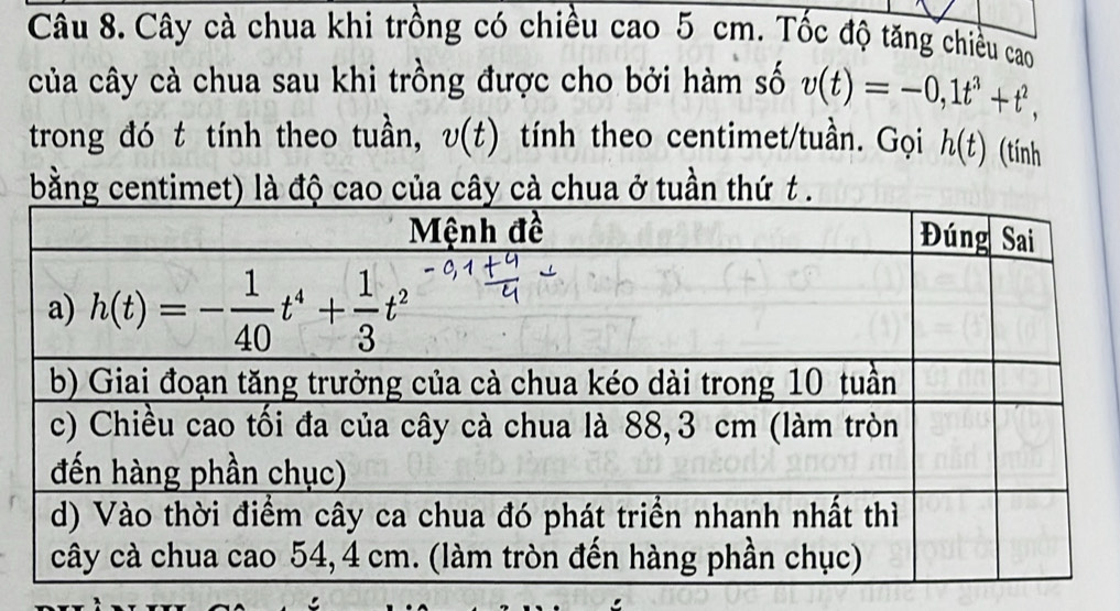 Cây cà chua khi trồng có chiều cao 5 cm. Tốc độ tăng chiều cao
của cây cà chua sau khi trồng được cho bởi hàm số v(t)=-0,1t^3+t^2,
trong đó t tính theo tuần, upsilon (t) tính theo centimet/tuần. Gọi h(t) (tính
bằng centimet) là độ cao của cây cà chua ở tuần thứ t .