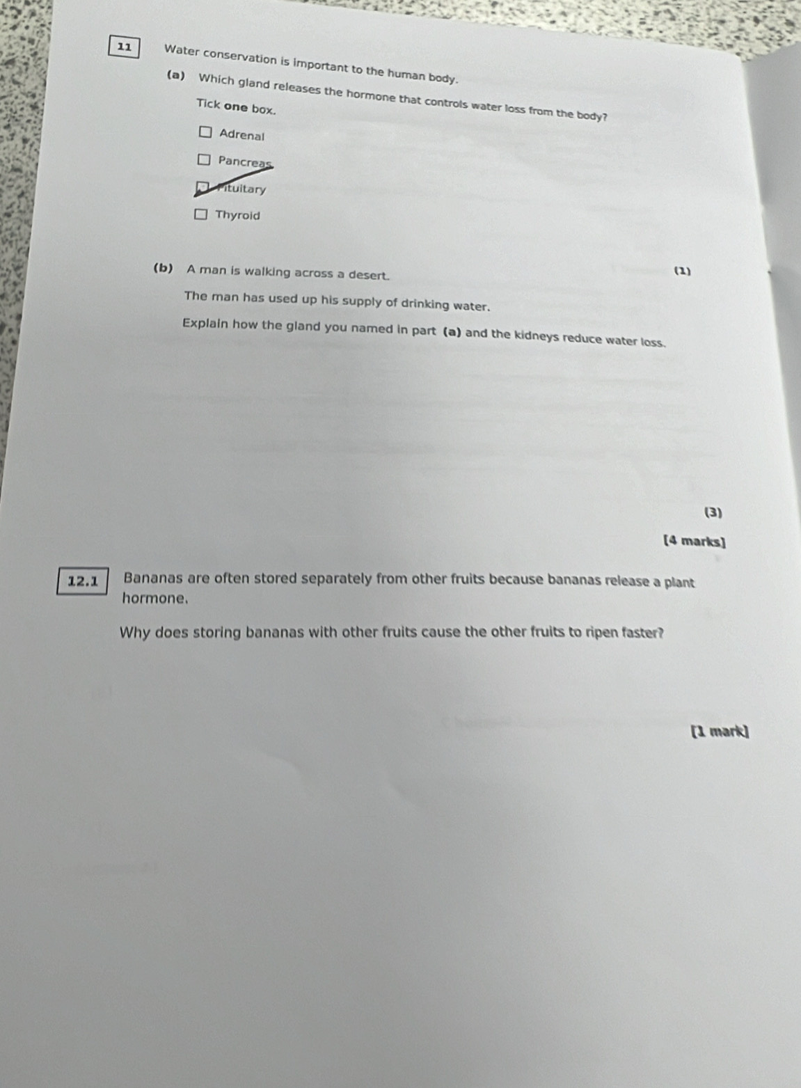Water conservation is important to the human body.
(a) Which gland releases the hormone that controls water loss from the body?
Tick one box.
Adrenal
Pancreas
Pituitary
Thyroid
(b) A man is walking across a desert. (1)
The man has used up his supply of drinking water.
Explain how the gland you named in part (a) and the kidneys reduce water loss.
(3)
[4 marks]
12. 1 Bananas are often stored separately from other fruits because bananas release a plant
hormone.
Why does storing bananas with other fruits cause the other fruits to ripen faster?
[1 mark]
