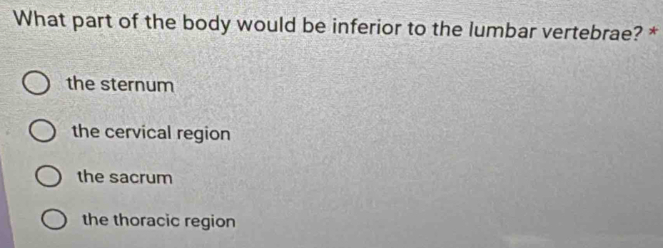 What part of the body would be inferior to the lumbar vertebrae? *
the sternum
the cervical region
the sacrum
the thoracic region