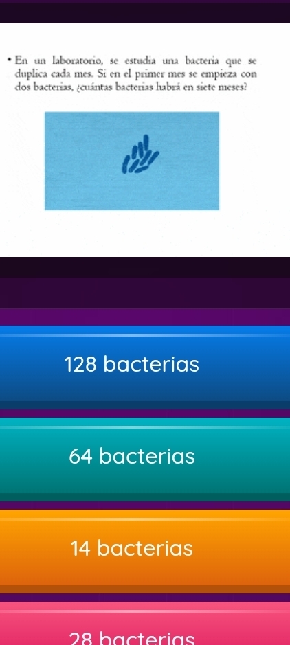 En un laboratorio, se estudía una bactería que se
duplica cada mes. Si en el primer mes se empieza con
dos bacterias, ¿cuántas bacterias habrá en siete meses?
128 bacterias
64 bacterias
14 bacterias
28 bacterias