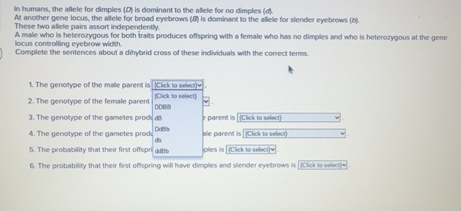 Solved: In humans, the allele for dimples (D) is dominant to the allele ...