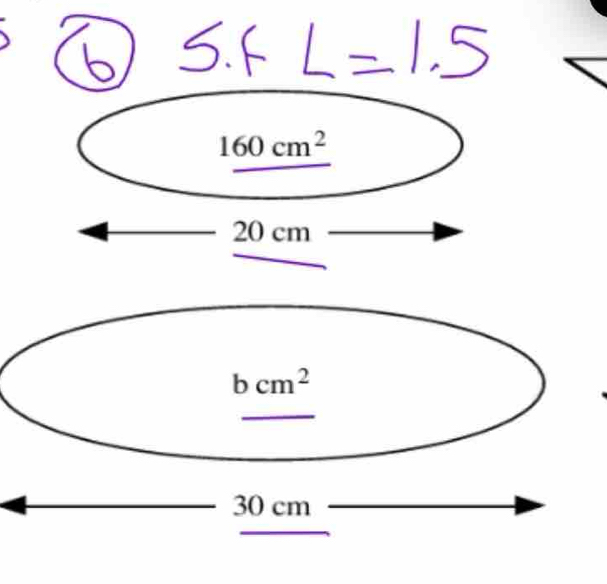 160cm^2
20 cm
bcm^2
_
30 cm