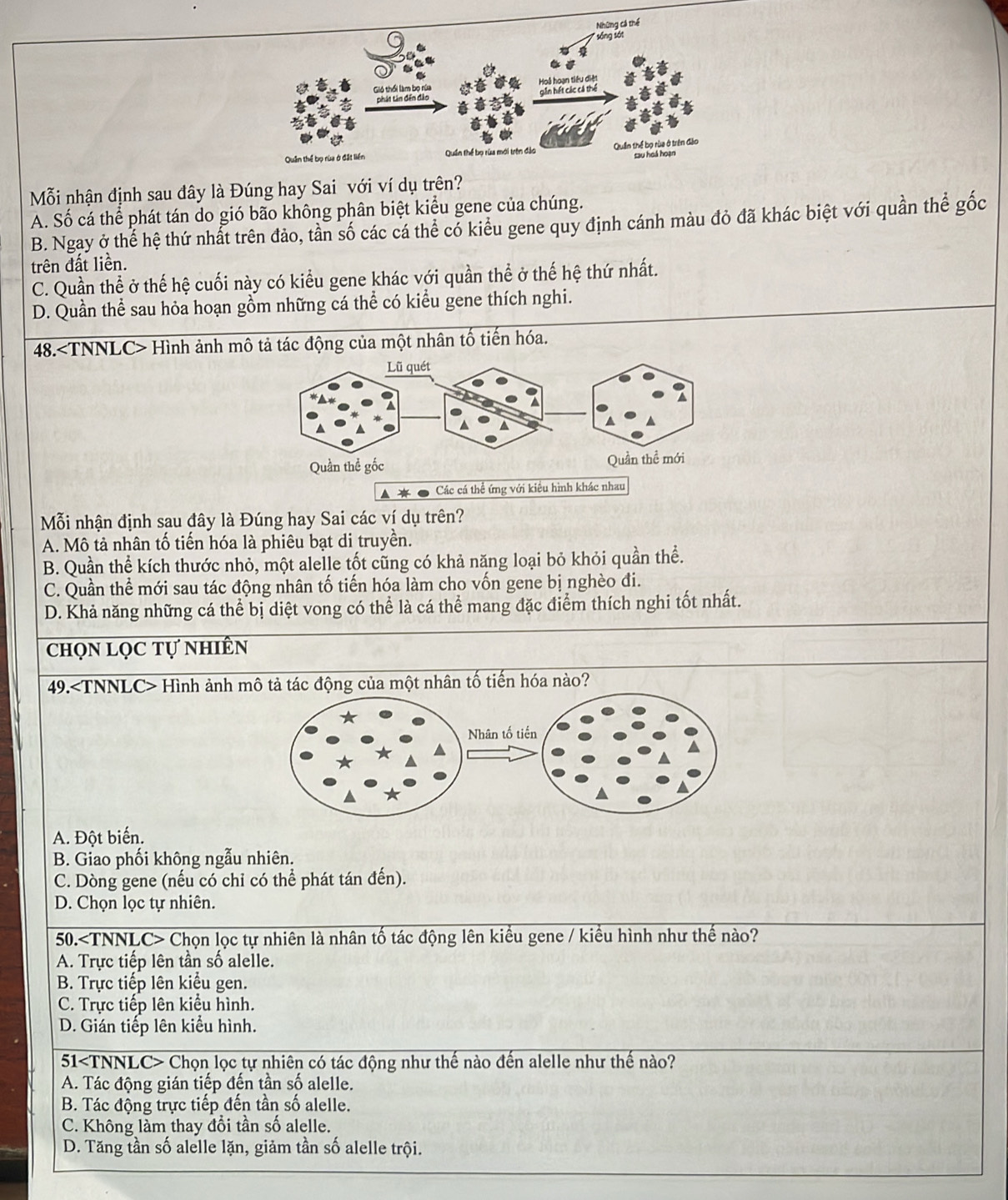 Mỗi nhận định sau đây là Đúng hay Sai với ví dụ trên?
A. Số cá thể phát tán do gió bão không phân biệt kiểu gene của chúng.
B. Ngay ở thể hệ thứ nhất trên đảo, tần số các cá thể có kiểu gene quy định cánh màu đỏ đã khác biệt với quần thể gốc
trên đất liền.
C. Quần thể ở thế hệ cuối này có kiểu gene khác với quần thể ở thế hệ thứ nhất.
D. Quần thể sau hỏa hoạn gồm những cá thể có kiểu gene thích nghi.
48. Hình ảnh mô tả tác động của một nhân tố tiến hóa.
Mỗi nhận định sau đây là Đúng hay Sai các ví dụ trên?
A. Mô tả nhân tố tiến hóa là phiêu bạt di truyền.
B. Quần thể kích thước nhỏ, một alelle tốt cũng có khả năng loại bỏ khỏi quần thể.
C. Quần thể mới sau tác động nhân tố tiến hóa làm cho vốn gene bị nghèo đi.
D. Khả năng những cá thể bị diệt vong có thể là cá thể mang đặc điểm thích nghi tốt nhất.
chọn lọc tự nhiên
49. Hình ảnh mô tả tác động của một nhân tố tiến hóa nào?
A. Đột biến.
B. Giao phối không ngẫu nhiên.
C. Dòng gene (nếu có chỉ có thể phát tán đến).
D. Chọn lọc tự nhiên.
50. Chọn lọc tự nhiên là nhân tố tác động lên kiểu gene / kiểu hình như thế nào?
A. Trực tiếp lên tần số alelle.
B. Trực tiếp lên kiểu gen.
C. Trực tiếp lên kiểu hình.
D. Gián tiếp lên kiểu hình.
51 Chọn lọc tự nhiên có tác động như thế nào đến alelle như thế nào?
A. Tác động gián tiếp đến tần số alelle.
B. Tác động trực tiếp đến tần số alelle.
C. Không làm thay đổi tần số alelle.
D. Tăng tần số alelle lặn, giảm tần số alelle trội.