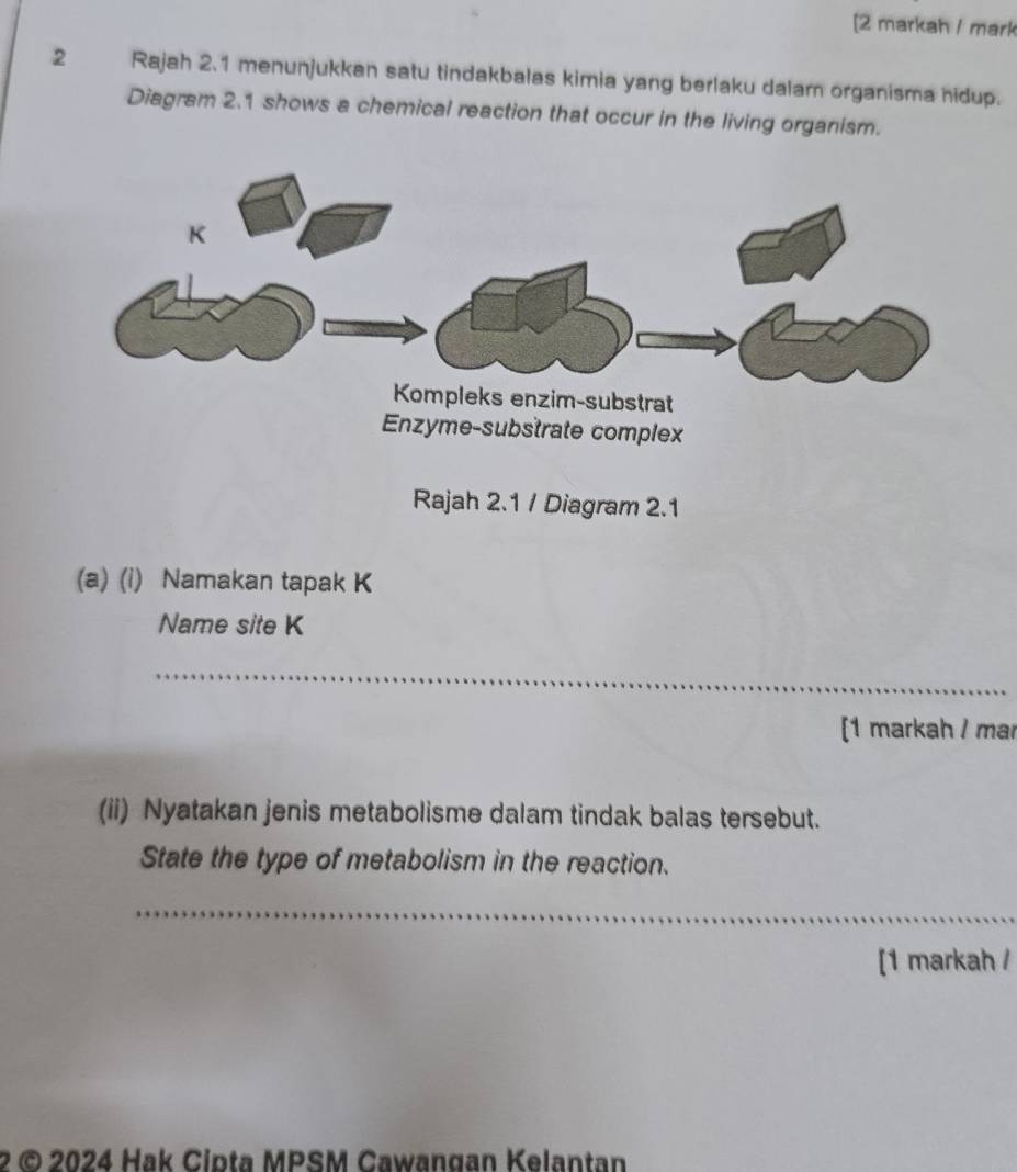 [2 markah / mark 
2 Rajah 2.1 menunjukkan satu tindakbalas kimia yang berlaku dalam organisma hidup. 
Diagram 2.1 shows a chemical reaction that occur in the living organism. 
Enzyme-substrate complex 
Rajah 2.1 / Diagram 2.1 
(a) (i) Namakan tapak K
Name site K
_ 
[1 markah / mar 
(ii) Nyatakan jenis metabolisme dalam tindak balas tersebut. 
State the type of metabolism in the reaction. 
_ 
[1 markah / 
2 © 2024 Hak Cipta MPSM Cawangan Kelantan