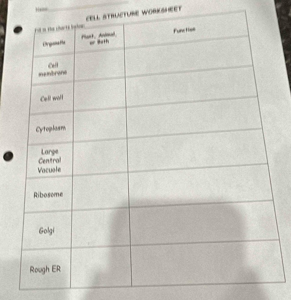 Hame 
eTURE WORKSHEET