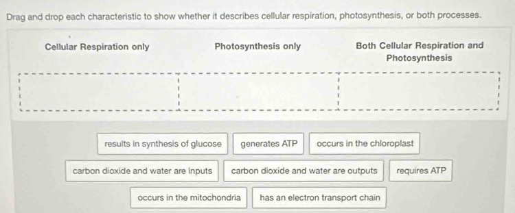 Drag and drop each characteristic to show whether it describes cellular respiration, photosynthesis, or both processes.
Cellular Respiration only Photosynthesis only Both Cellular Respiration and
Photosynthesis
results in synthesis of glucose generates ATP occurs in the chloroplast
carbon dioxide and water are inputs carbon dioxide and water are outputs requires ATP
occurs in the mitochondria has an electron transport chain