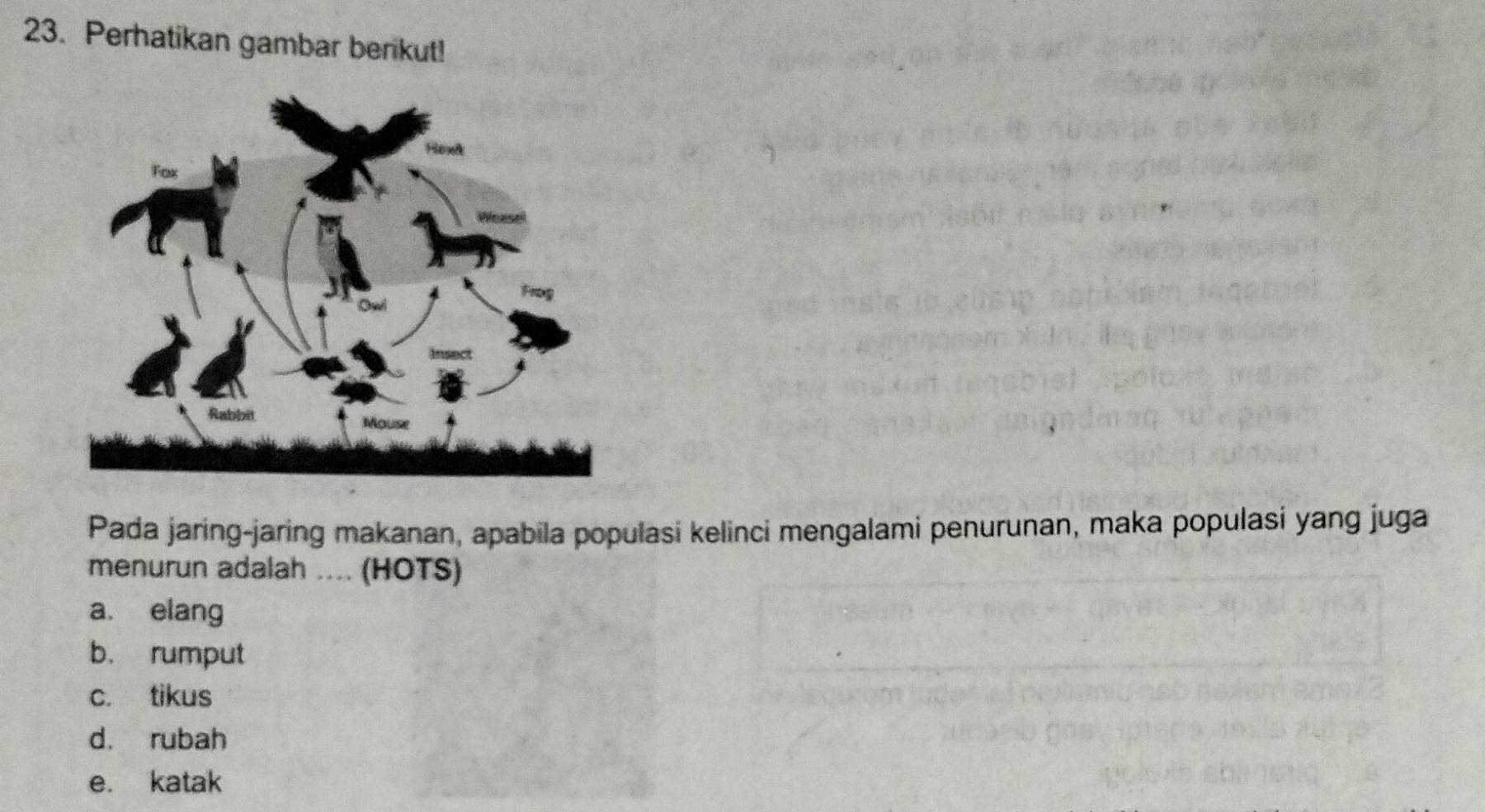 Perhatikan gambar berikut!
Pada jaring-jaring makanan, apabila populasi kelinci mengalami penurunan, maka populasi yang juga
menurun adalah .... (HOTS)
a. elang
b. rumput
c. tikus
d. rubah
e. katak