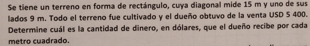 Se tiene un terreno en forma de rectángulo, cuya diagonal mide 15 m y uno de sus 
lados 9 m. Todo el terreno fue cultivado y el dueño obtuvo de la venta USD 5 400. 
Determine cuál es la cantidad de dinero, en dólares, que el dueño recibe por cada 
metro cuadrado.