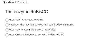 The enzyme RuBisCO
uses G3P to regenerate RuBP.
catalyzes the reaction between carbon dioxide and RuBP.
uses G3P to assemble glucose molecules
uses ATP and NADPH to convert 3-PGA to G3P,