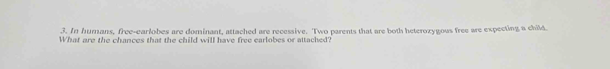 In humans, free-earlobes are dominant, attached are recessive. Two parents that are both heterozygous free are expecting a child 
What are the chances that the child will have free earlobes or attached?