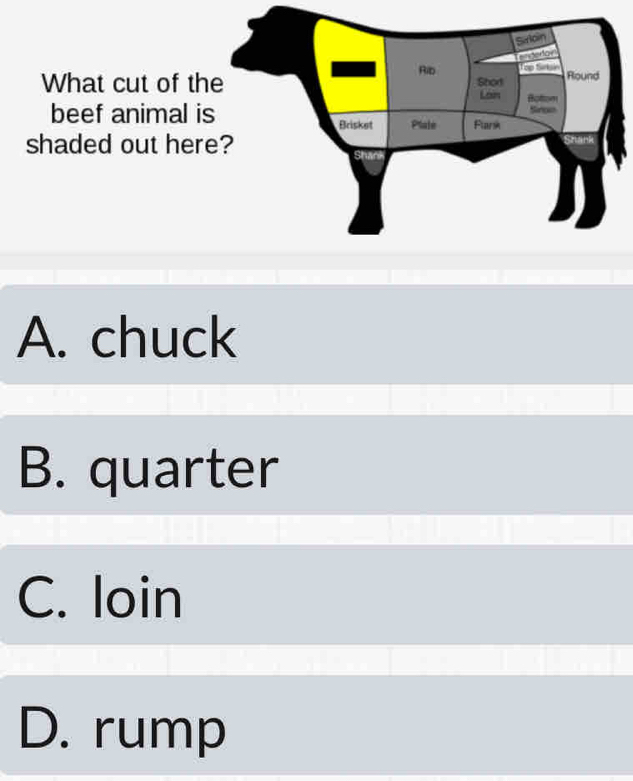 Sarloin
Tenceion
Rib
What cut of the Shod Lon Sirtah Round
Loin Bolttom
beef animal is Brisket Plale Farsk Sinoo
shaded out here? 
Shan
A. chuck
B. quarter
C. loin
D. rump