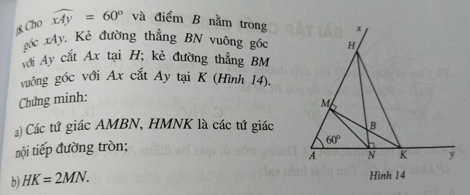 Cho widehat xAy=60° và điểm B nằm trong
góc xAy. Kẻ đường thẳng BN vuông góc
với Ay cắt Ax tại H; kẻ đường thẳng BM
vuông góc với Ax cắt Ay tại K (Hình 14).
Chứng minh:
a) Các tứ giác AMBN, HMNK là các tứ giác
nội tiếp đường tròn;
b) HK=2MN.
Hình 14