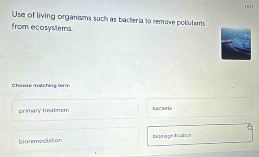 of l
Use of living organisms such as bacteria to remove pollutants
from ecosystems.
Choose matching term
primary treatment bacteria
bioremediation biomagnification