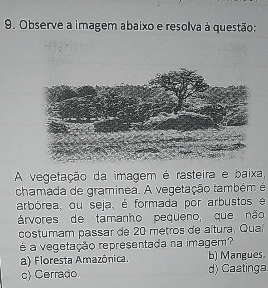 Observe a imagem abaixo e resolva à questão:
A vegetação da imagem é rasteira e baixa,
chamada de gramínea. A vegetação também é
arbórea, ou seja, é formada por arbustos e
árvores de tamanho pequeno, que não
costumam passar de 20 metros de altura. Qual
é a vegetação representada na imagem?
a) Floresta Amazônica.
b) Mangues.
c) Cerrado. d) Caatinga