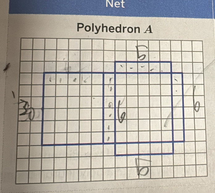 Net 
Polyhedron A