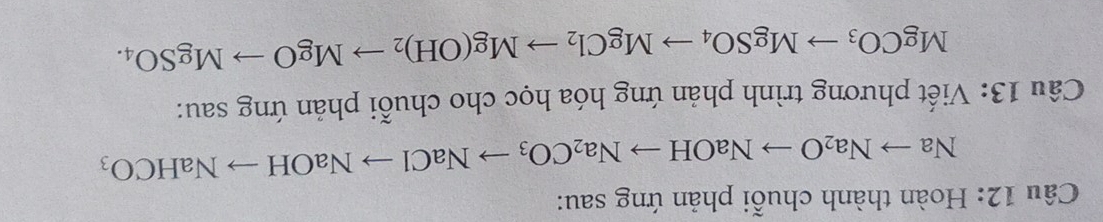 Hoàn thành chuỗi phản ứng sau:
Nato Na_2Oto NaOHto Na_2CO_3to NaClto NaOHto NaHCO_3
Câu 13: Viết phương trình phản ứng hóa học cho chuỗi phản ứng sau:
MgCO_3to MgSO_4to MgCl_2to Mg(OH)_2to MgOto MgSO_4.