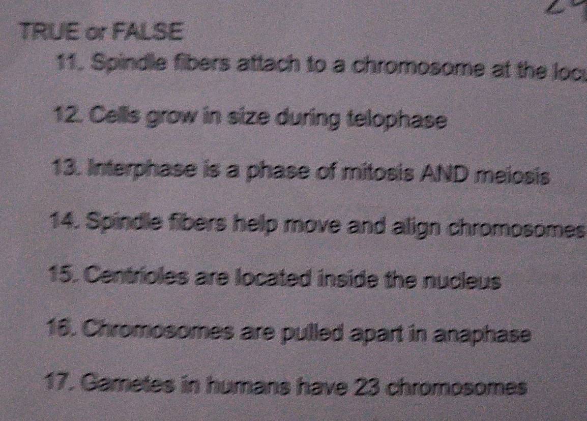 Solved: TRUE or FALSE 11. Spindle fibers attach to a chromosome at the ...
