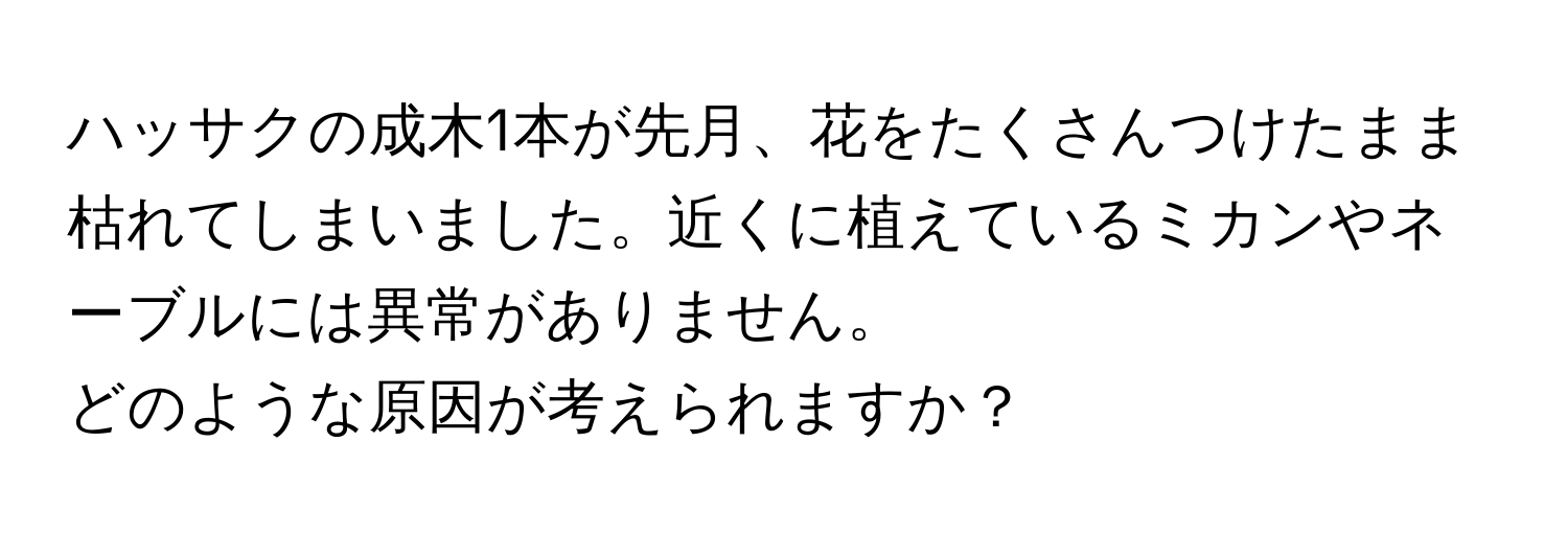 ハッサクの成木1本が先月、花をたくさんつけたまま枯れてしまいました。近くに植えているミカンやネーブルには異常がありません。  
どのような原因が考えられますか？