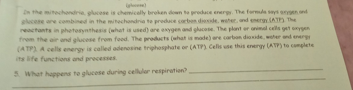 (glucose) 
In the mitochondria, glucose is chemically broken down to produce energy. The formula says oxygen and 
glucose are combined in the mitochondria to produce carbon dioxide, water, and energy (ATP). The 
reactants in photosynthesis (what is used) are oxygen and glucose. The plant or animal cells get oxygen 
from the air and glucose from food. The products (what is made) are carbon dioxide, water and energy 
(ATP). A cells energy is called adenosine triphosphate or (ATP). Cells use this energy (ATP) to complete 
its life functions and processes. 
_ 
_ 
5. What happens to glucose during cellular respiration?