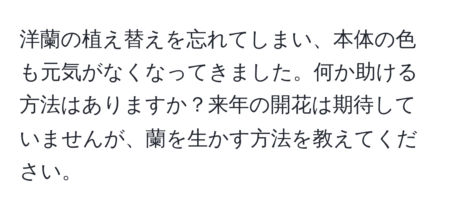 洋蘭の植え替えを忘れてしまい、本体の色も元気がなくなってきました。何か助ける方法はありますか？来年の開花は期待していませんが、蘭を生かす方法を教えてください。